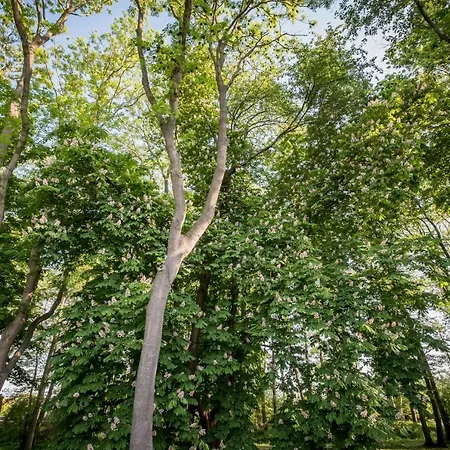 Gutshof Apartamento *