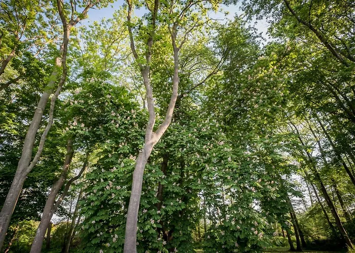 Gutshof Апартаменты *